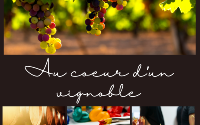 ƤƦЄƧƬƛƬƖƠƝ ƖƝƔЄƝƬƖƔЄ: In the heart of a vineyard 🍇